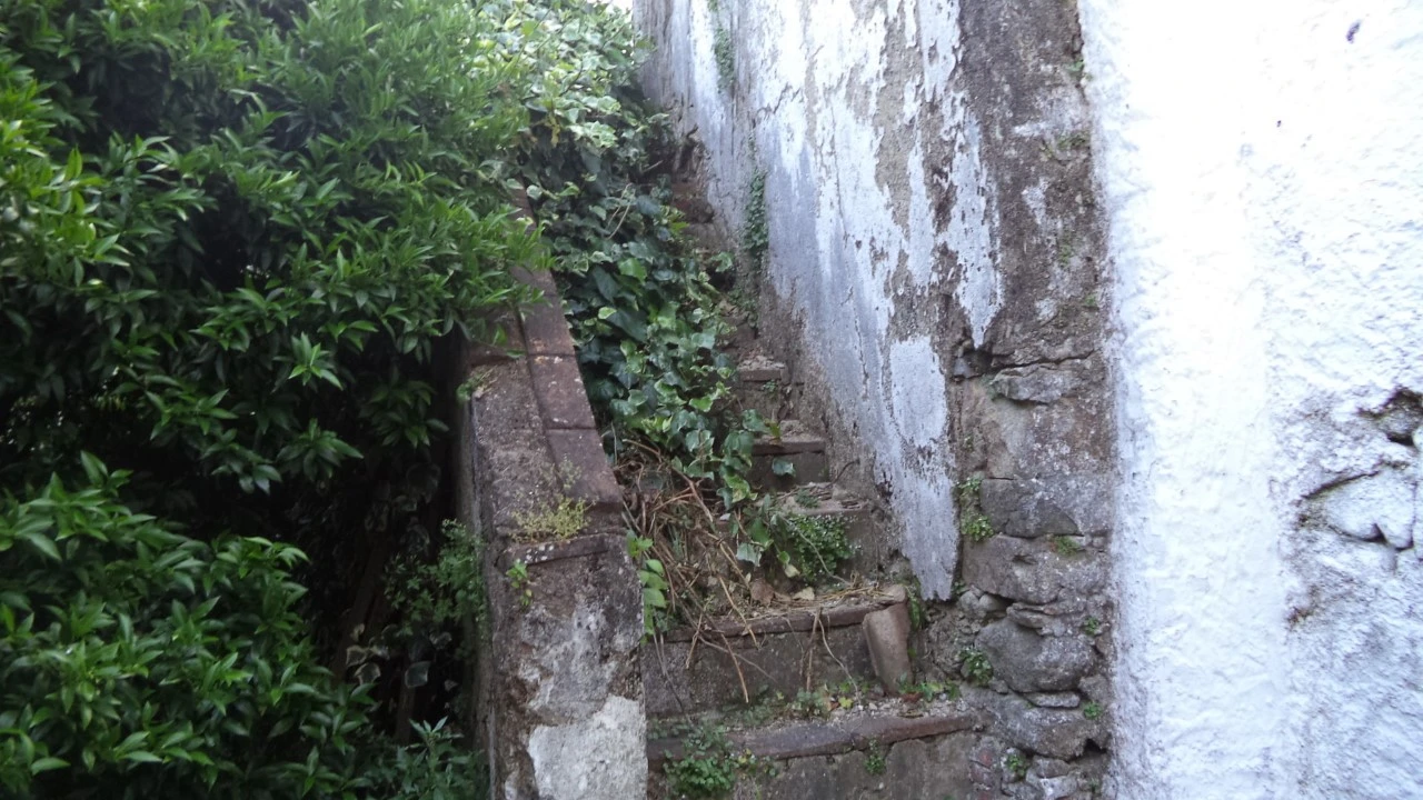 Moradia T3 para Venda em Ribeira de Nisa e Carreiras Foto 3