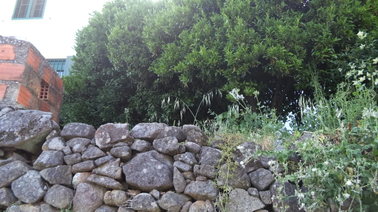 Moradia T3 para Venda em Ribeira de Nisa e Carreiras Foto 6