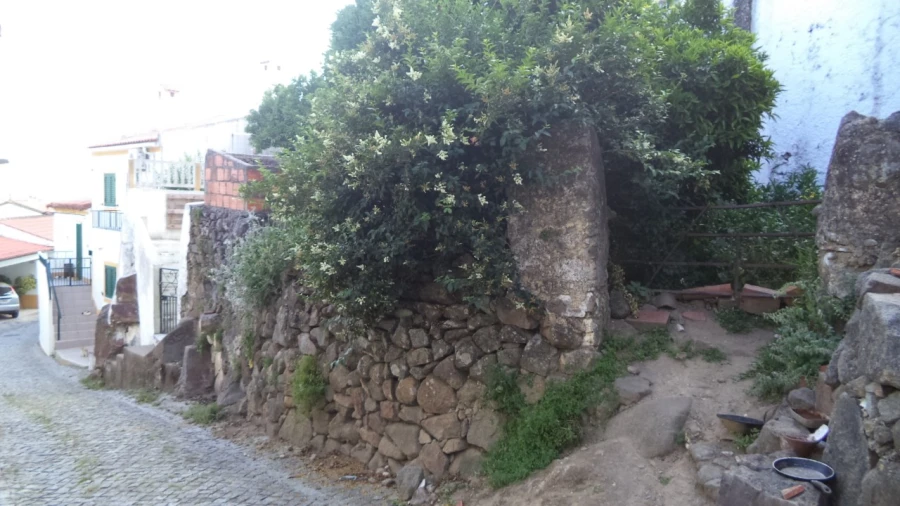 Moradia T3 para Venda em Ribeira de Nisa e Carreiras Foto 4