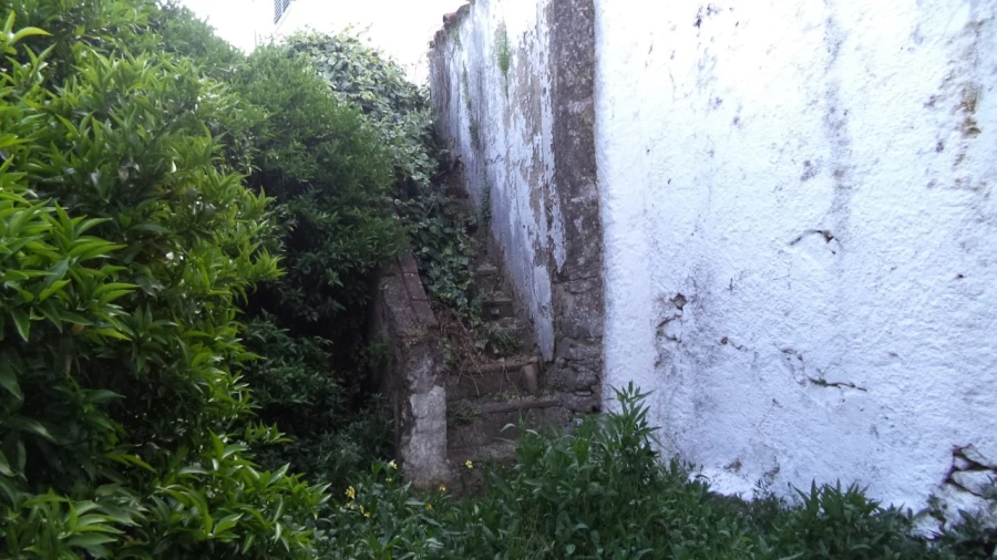 Moradia T3 para Venda em Ribeira de Nisa e Carreiras Foto 5