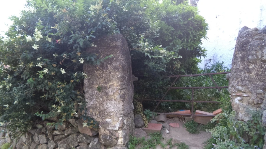 Moradia T3 para Venda em Ribeira de Nisa e Carreiras Foto 9