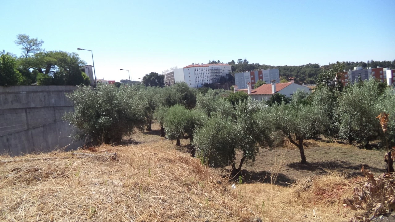 Quinta T9 para Venda em Sé e São Lourenço Foto 6