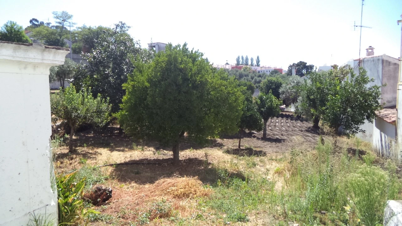Quinta T9 para Venda em Sé e São Lourenço Foto 9