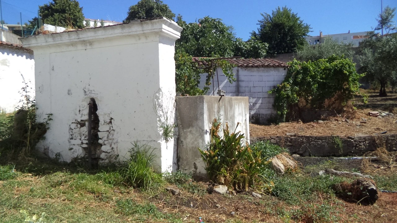 Quinta T9 para Venda em Sé e São Lourenço Foto 10