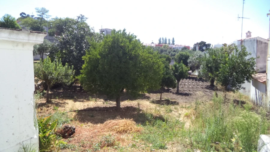 Quinta T9 para Venda em Sé e São Lourenço Foto 9