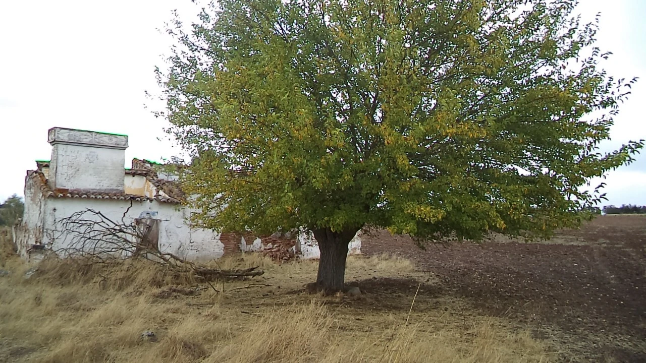 Quinta para Venda em Barbacena e Vila Fernando Foto 1