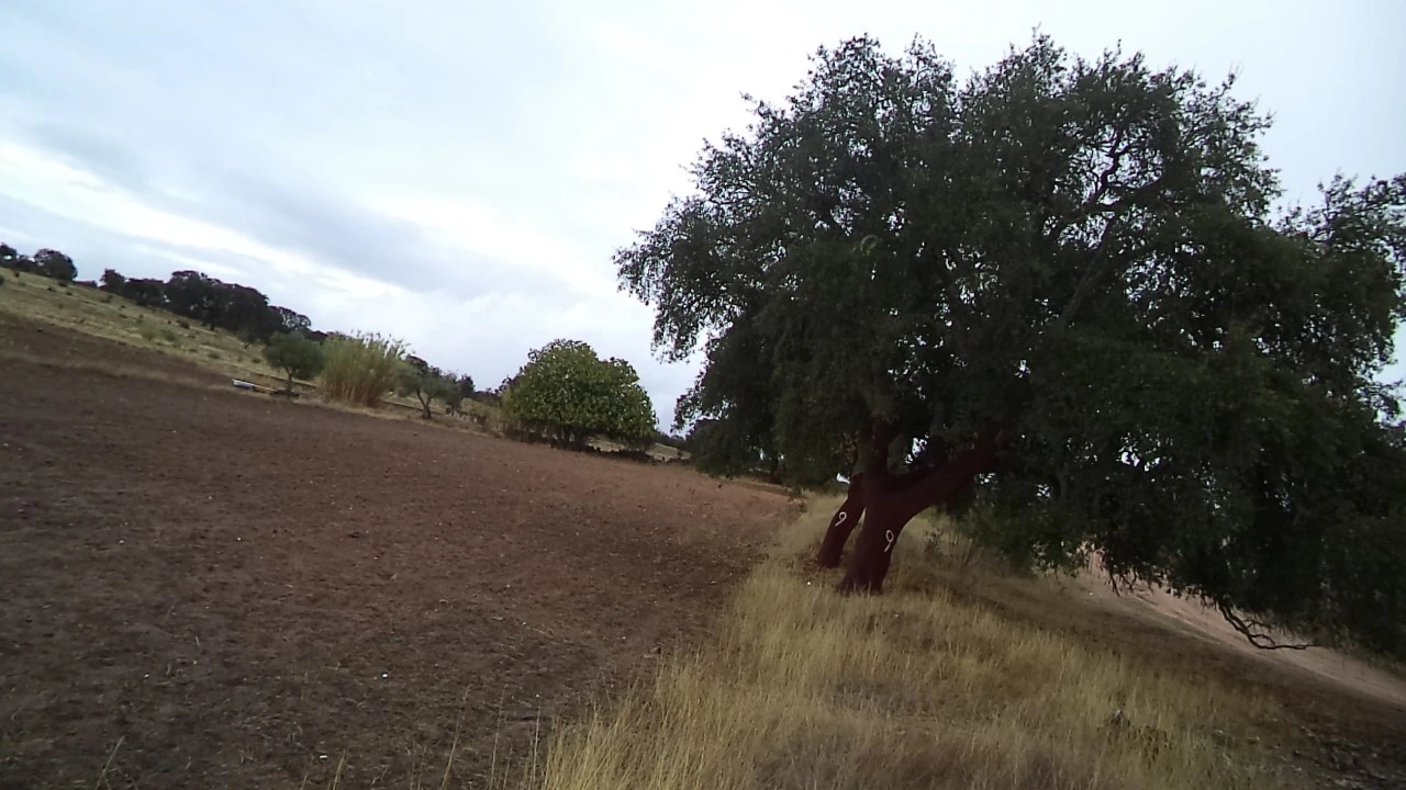 Quinta para Venda em Barbacena e Vila Fernando Foto 5
