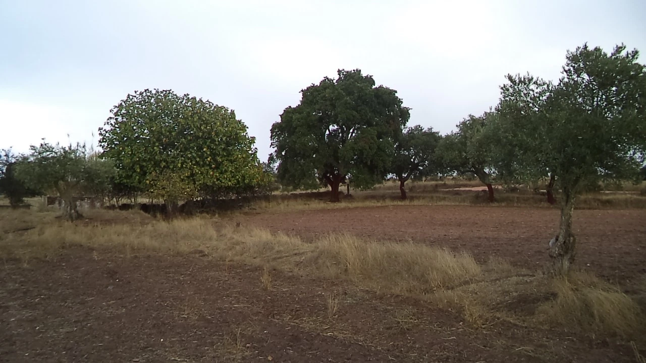 Quinta para Venda em Barbacena e Vila Fernando Foto 7