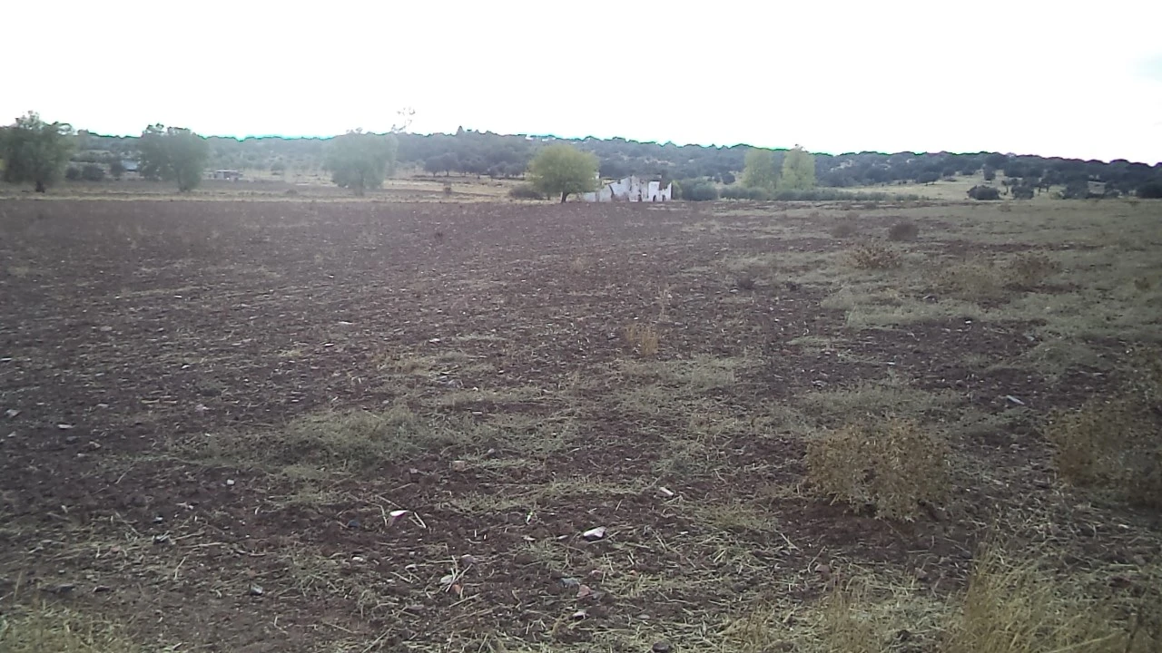 Quinta para Venda em Barbacena e Vila Fernando Foto 10