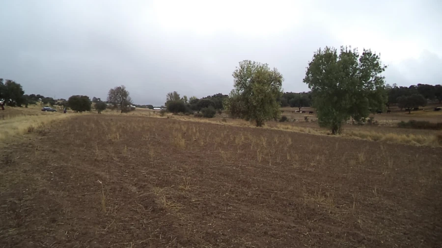 Quinta para Venda em Barbacena e Vila Fernando Foto 4