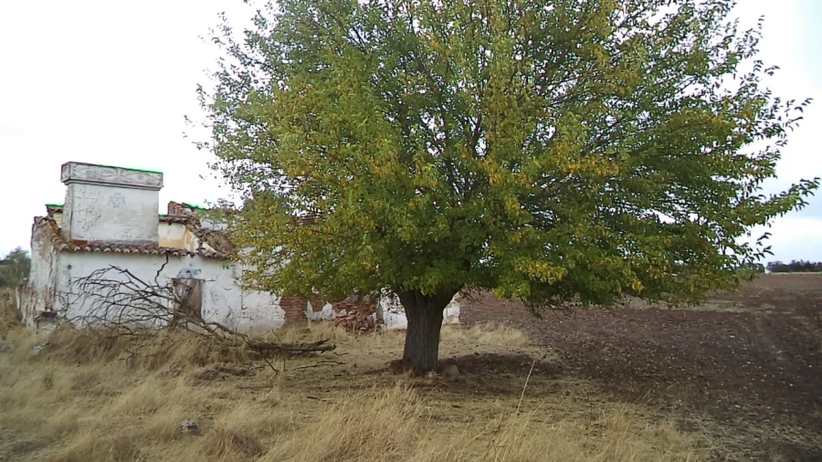 Quinta para Venda em Barbacena e Vila Fernando Foto 1