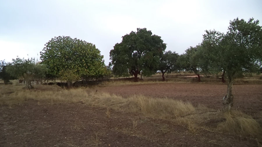 Quinta para Venda em Barbacena e Vila Fernando Foto 7