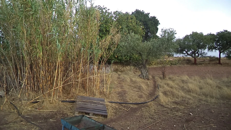 Quinta para Venda em Barbacena e Vila Fernando Foto 9