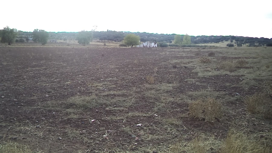 Quinta para Venda em Barbacena e Vila Fernando Foto 10
