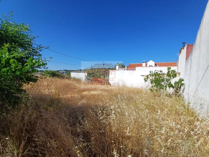 Terreno para Venda em Torrão Foto 3