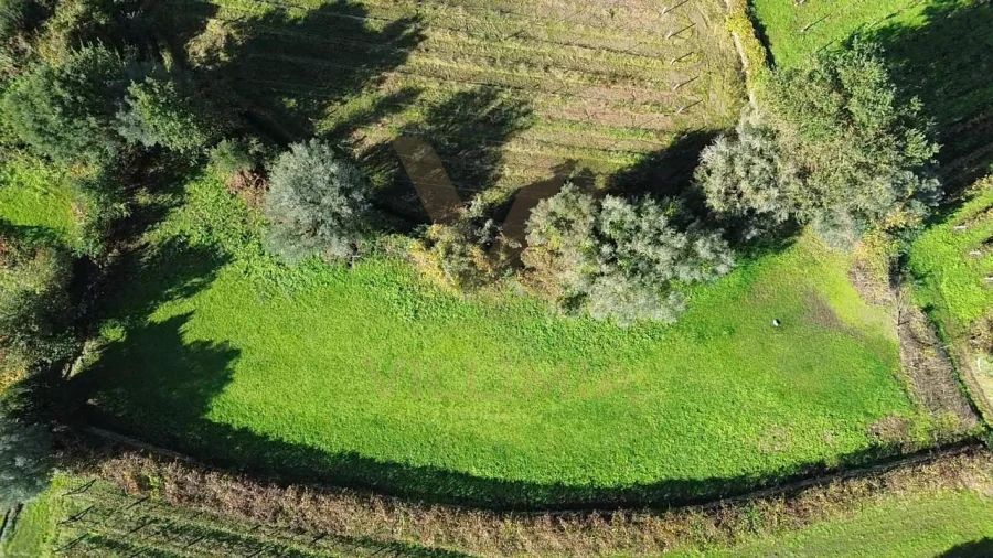 Terreno Agricola ou Rústico para Venda em Bárrio e Cepões Foto 2