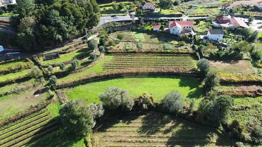 Terreno Agricola ou Rústico para Venda em Bárrio e Cepões Foto 5