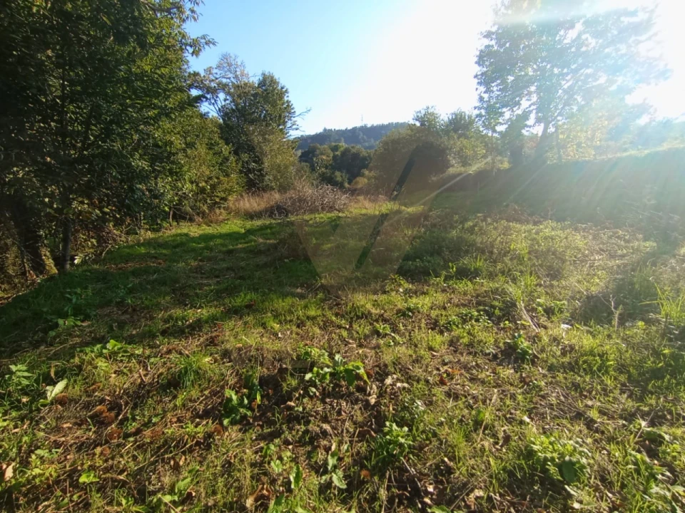 Moradia T3 para Venda em Rebordões (Souto) Foto 30