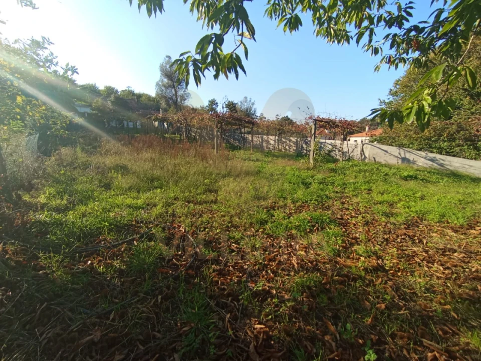 Moradia T3 para Venda em Rebordões (Souto) Foto 33