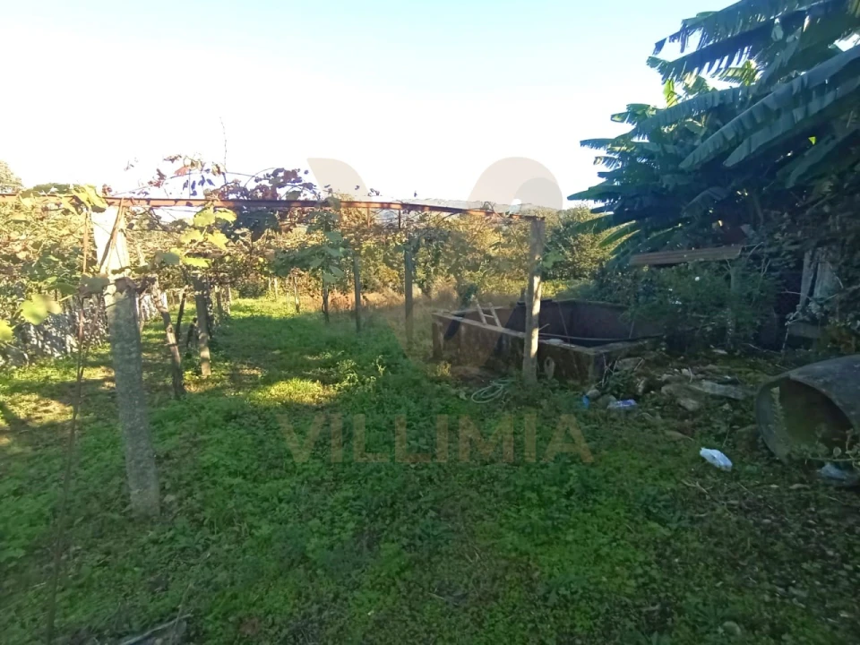 Moradia T3 para Venda em Rebordões (Souto) Foto 34