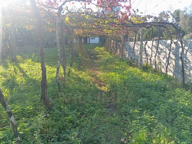 Moradia T3 para Venda em Rebordões (Souto) Foto 29