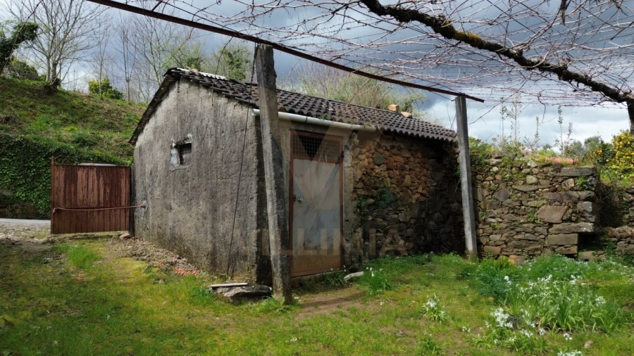 Moradia T3 para Venda em Rebordões (Souto) Foto 4