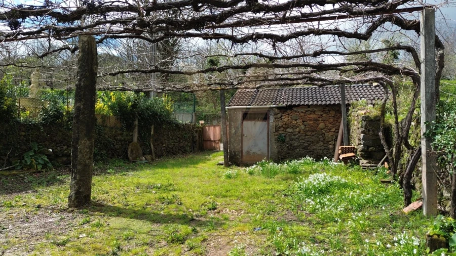 Moradia T3 para Venda em Rebordões (Souto) Foto 6