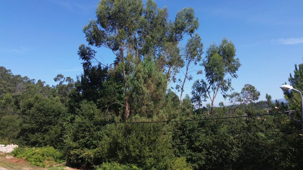 Terreno para Venda em Rebordões (Santa Maria) Foto 2