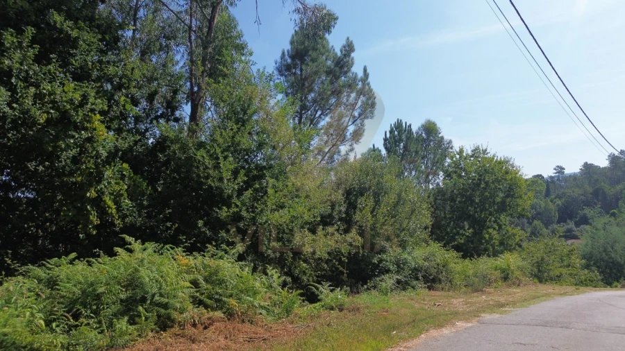 Terreno para Venda em Rebordões (Santa Maria) Foto 4