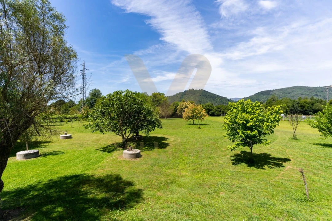 Armazém para Venda em Arcozelo Foto 8