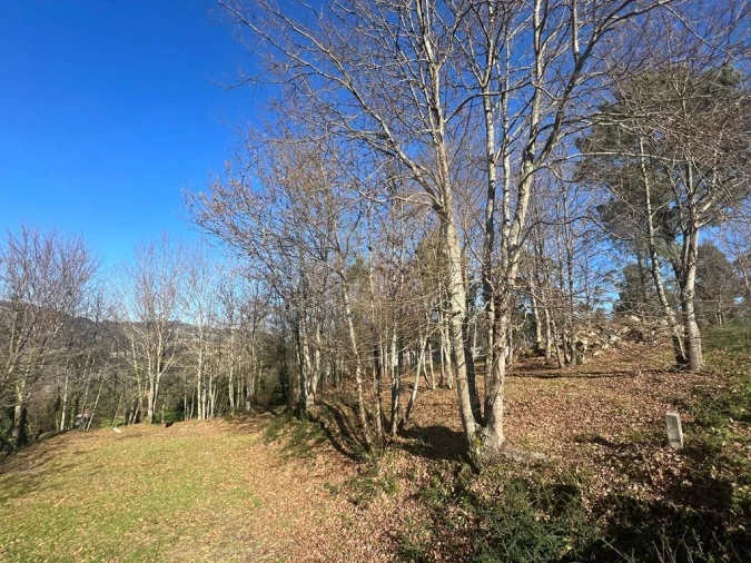 Terreno para Venda em Gemieira Foto 5