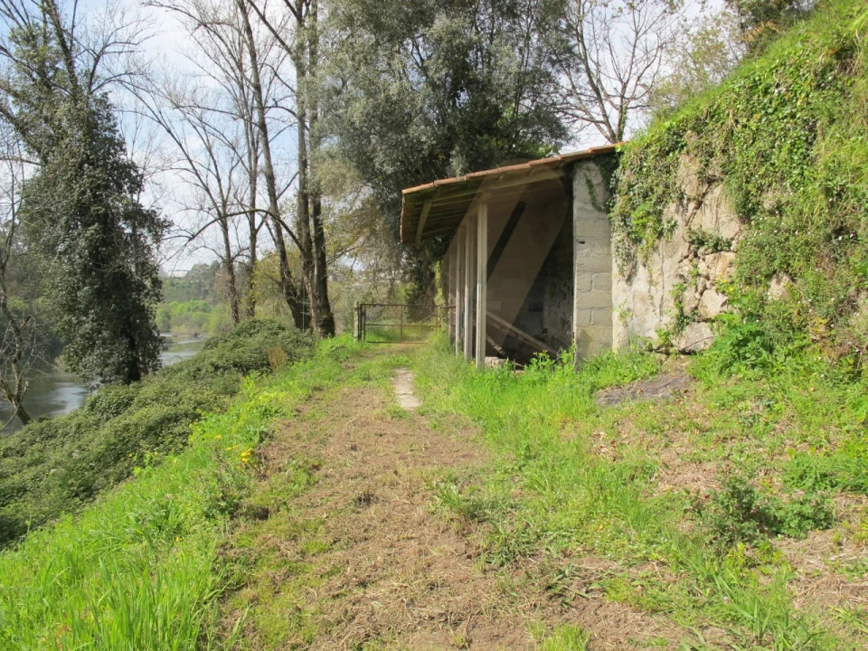Terreno para Venda em Távora (Santa Maria e São Vicente) Foto 3