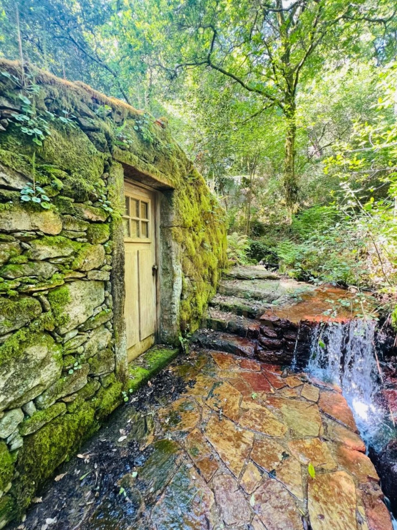 Quinta para Venda em Covas Foto 1