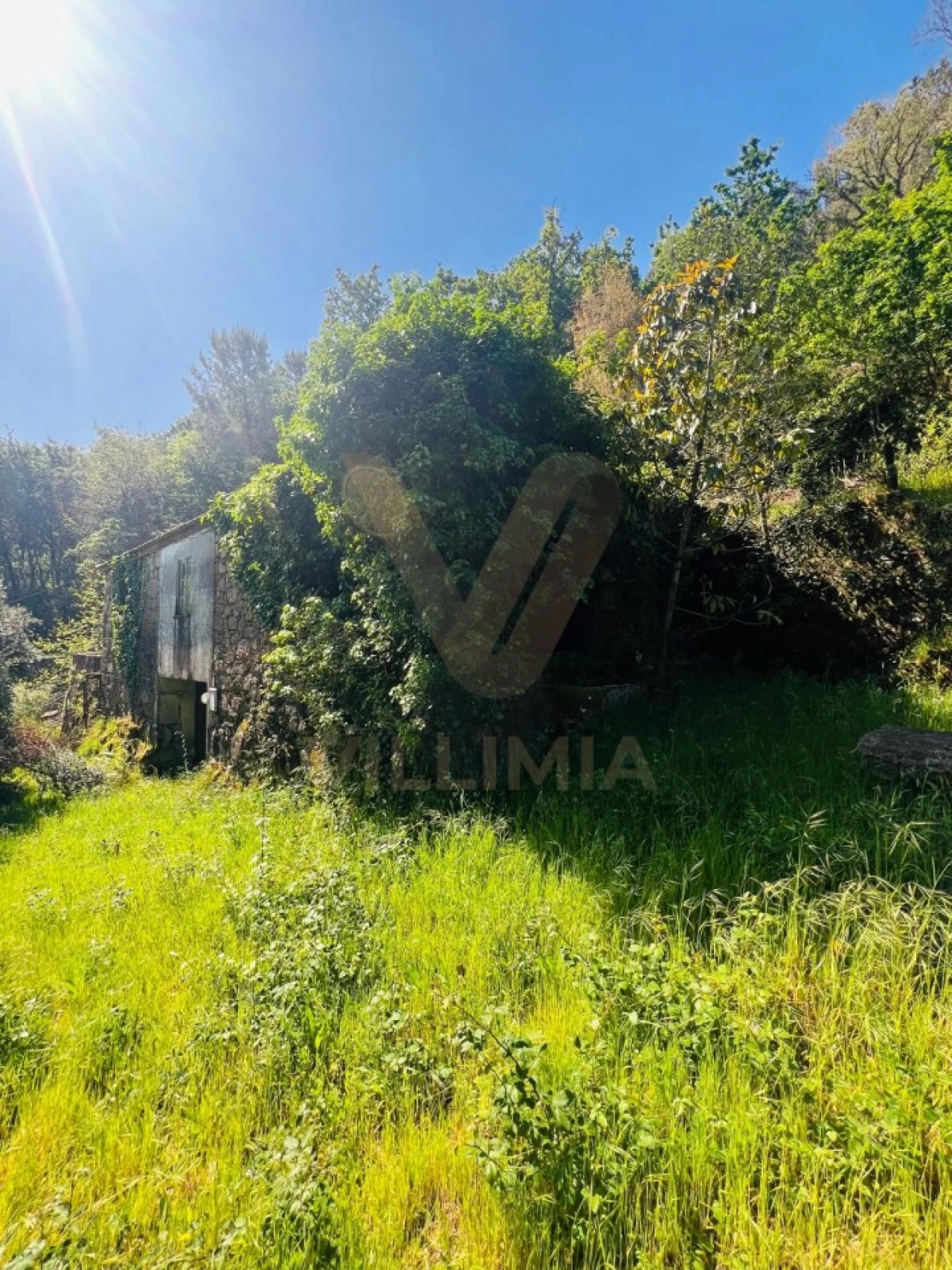 Quinta para Venda em Covas Foto 2