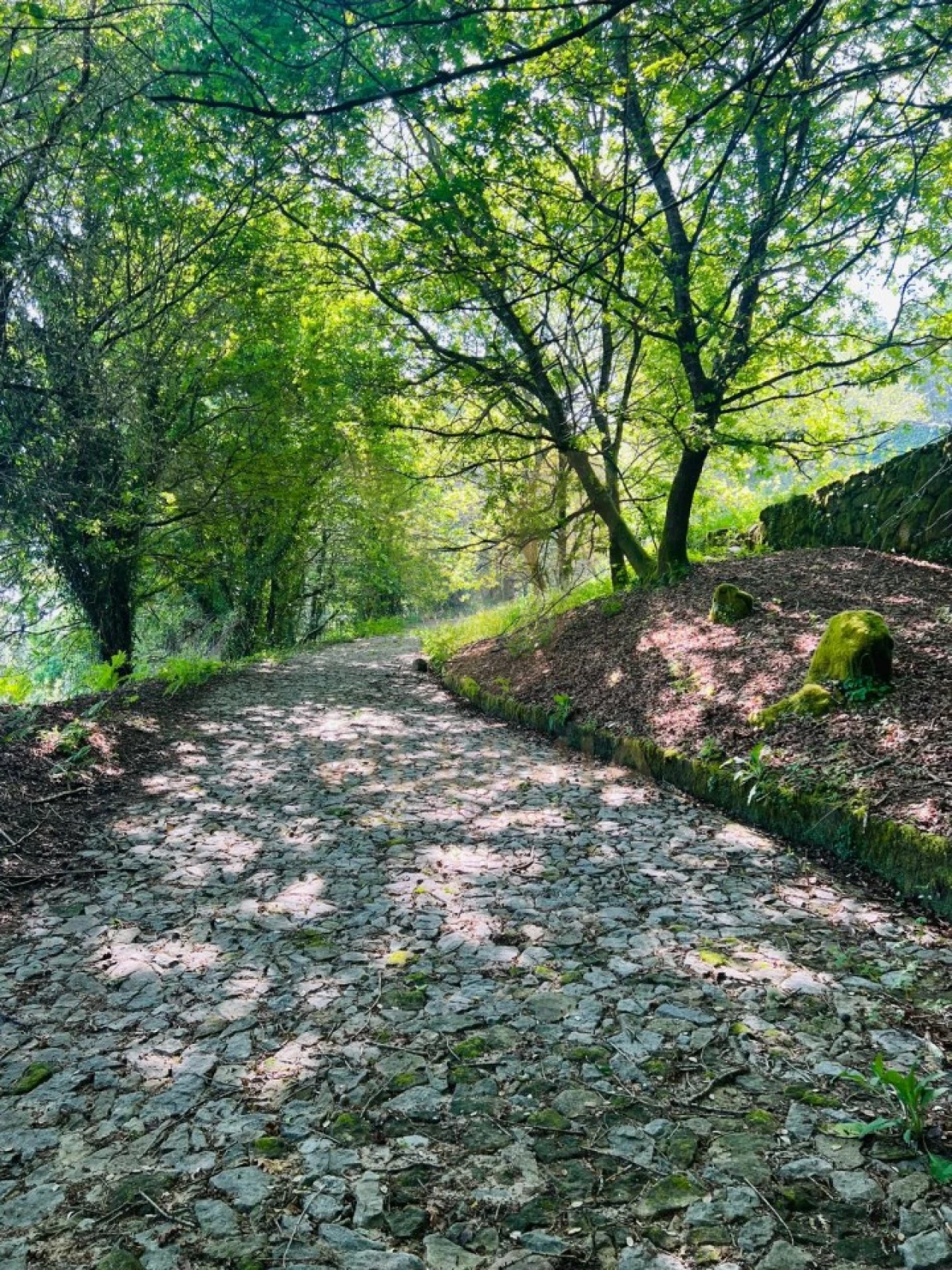 Quinta para Venda em Covas Foto 3