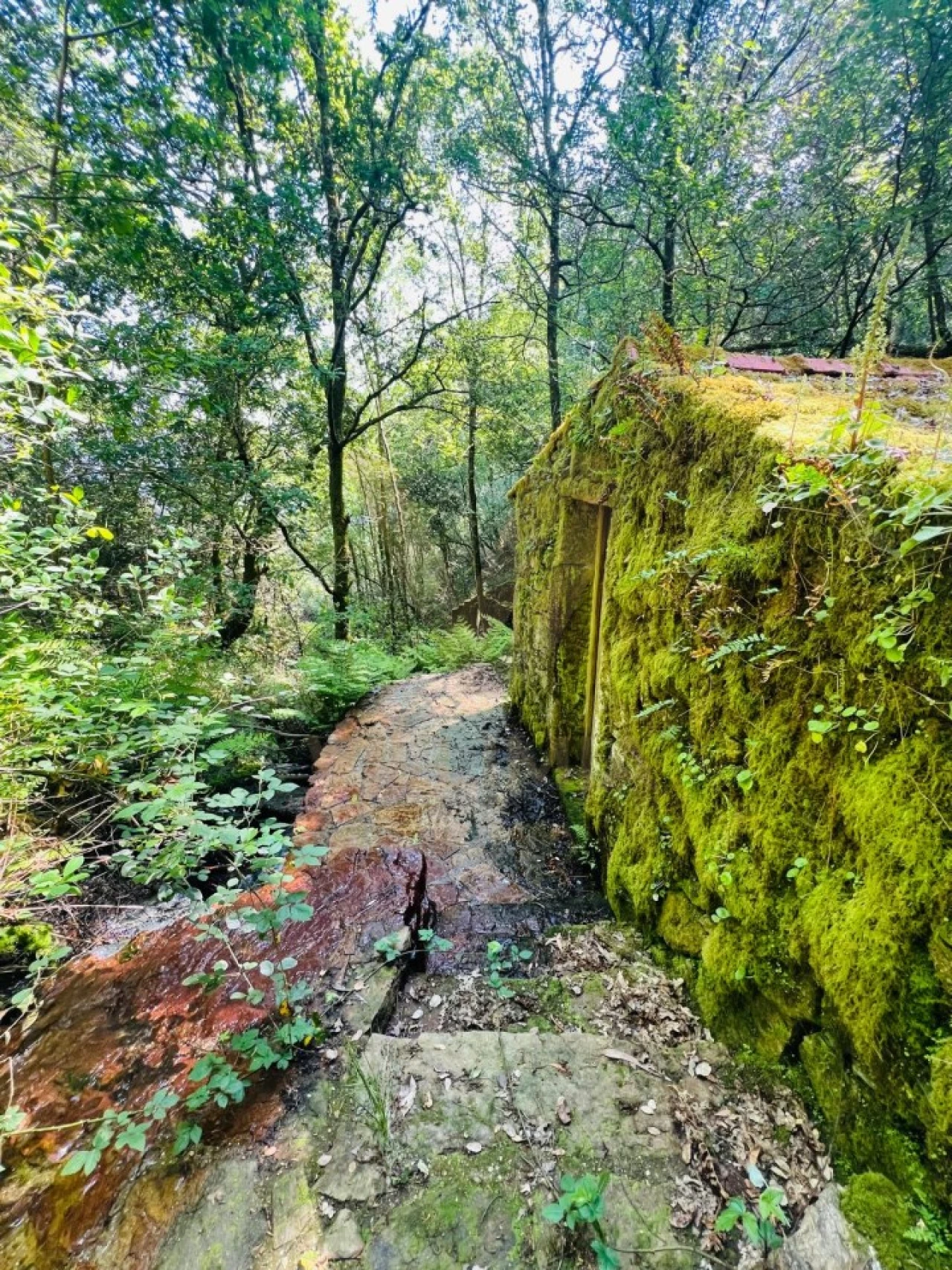 Quinta para Venda em Covas Foto 15