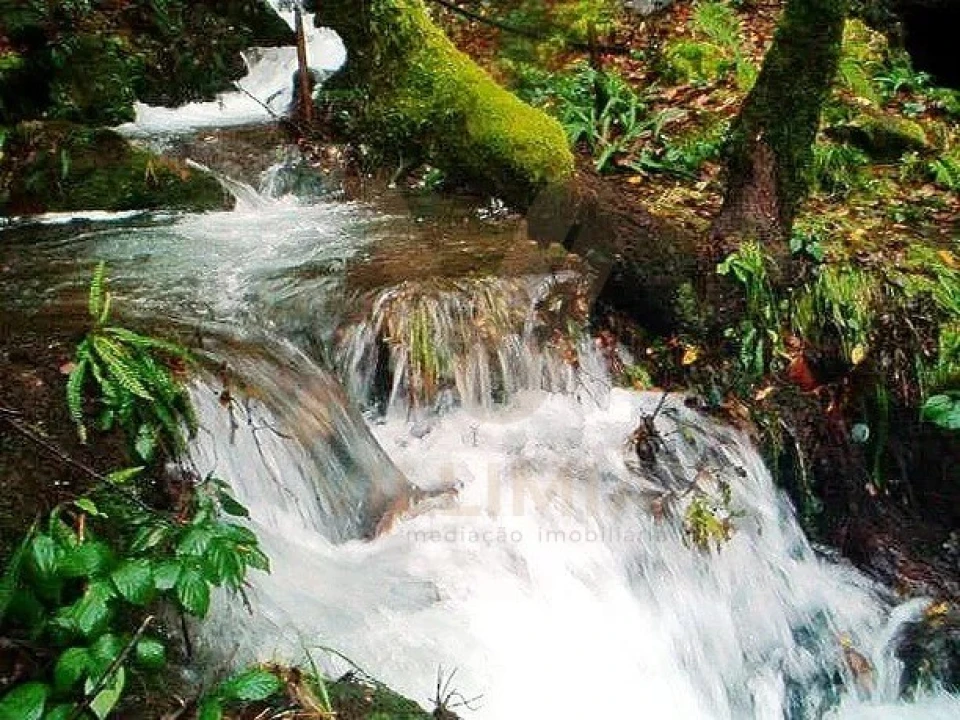 Quinta para Venda em Covas Foto 18