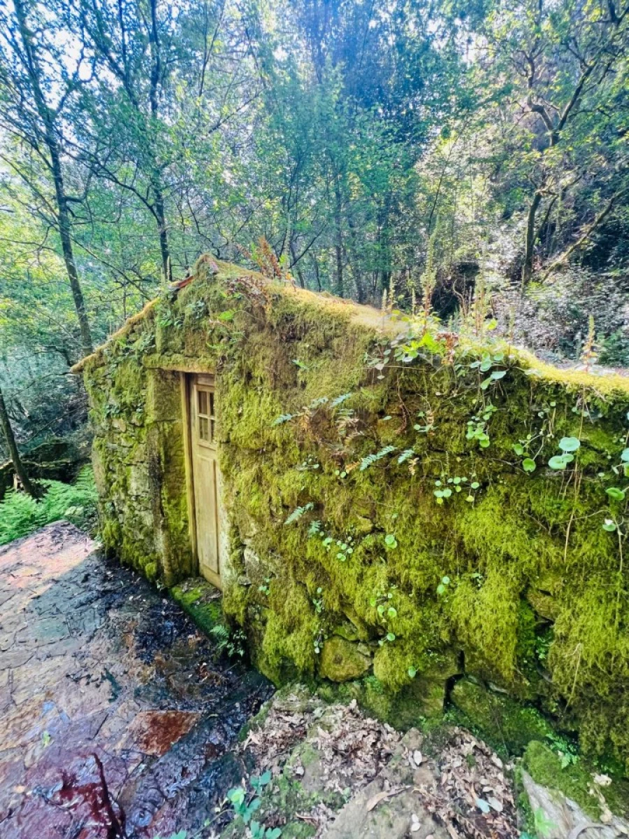 Quinta para Venda em Covas Foto 10