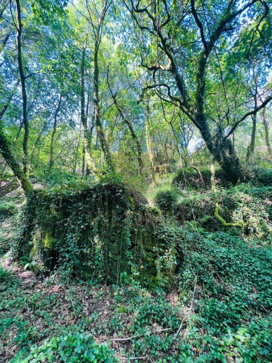 Quinta para Venda em Covas Foto 13
