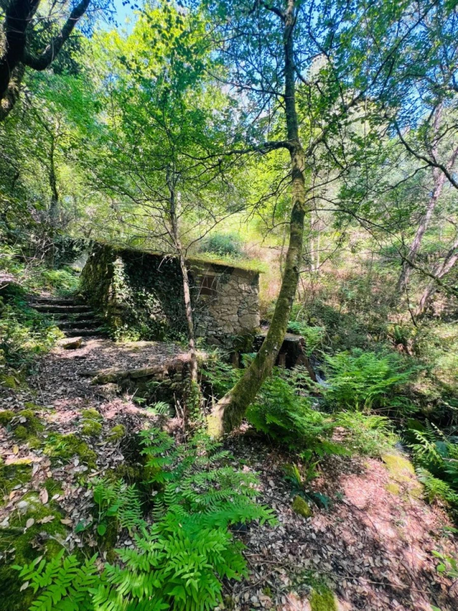 Quinta para Venda em Covas Foto 14