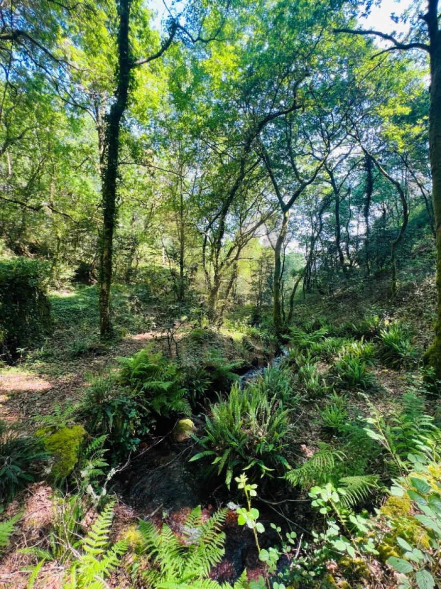 Quinta para Venda em Covas Foto 17