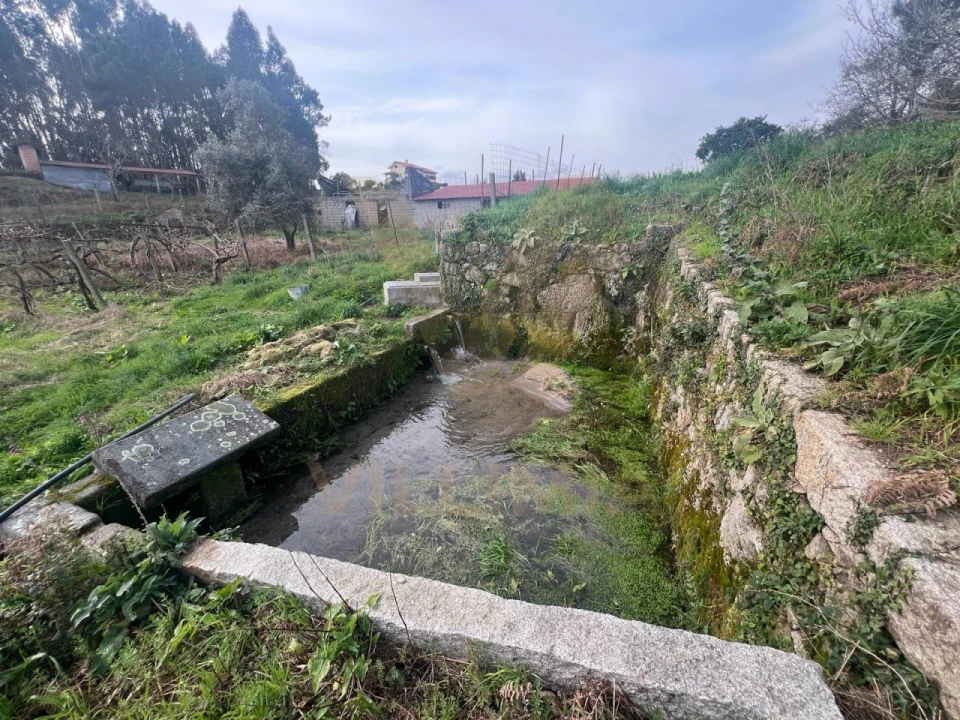 Quinta T5 para Venda em Santa Comba Foto 16