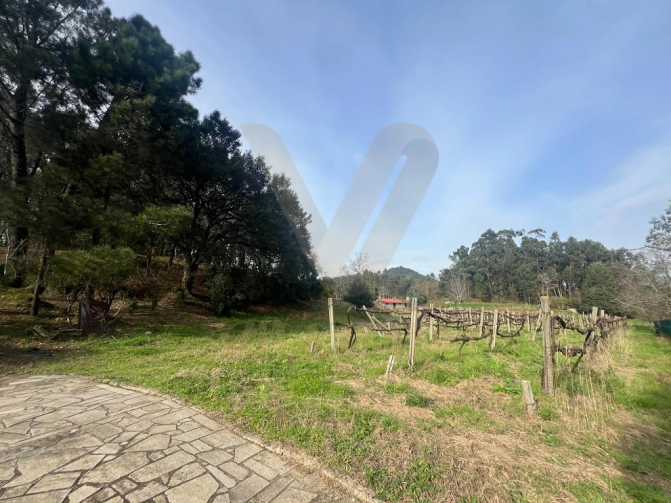 Quinta T5 para Venda em Santa Comba Foto 18