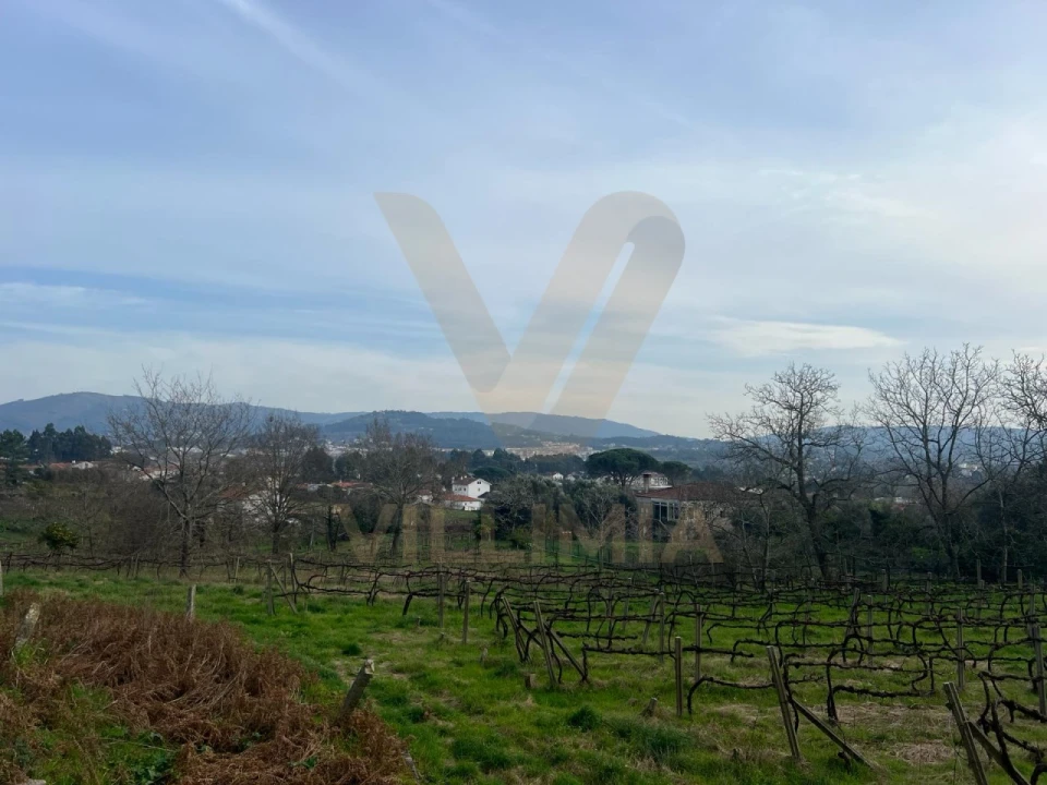 Quinta T5 para Venda em Santa Comba Foto 19