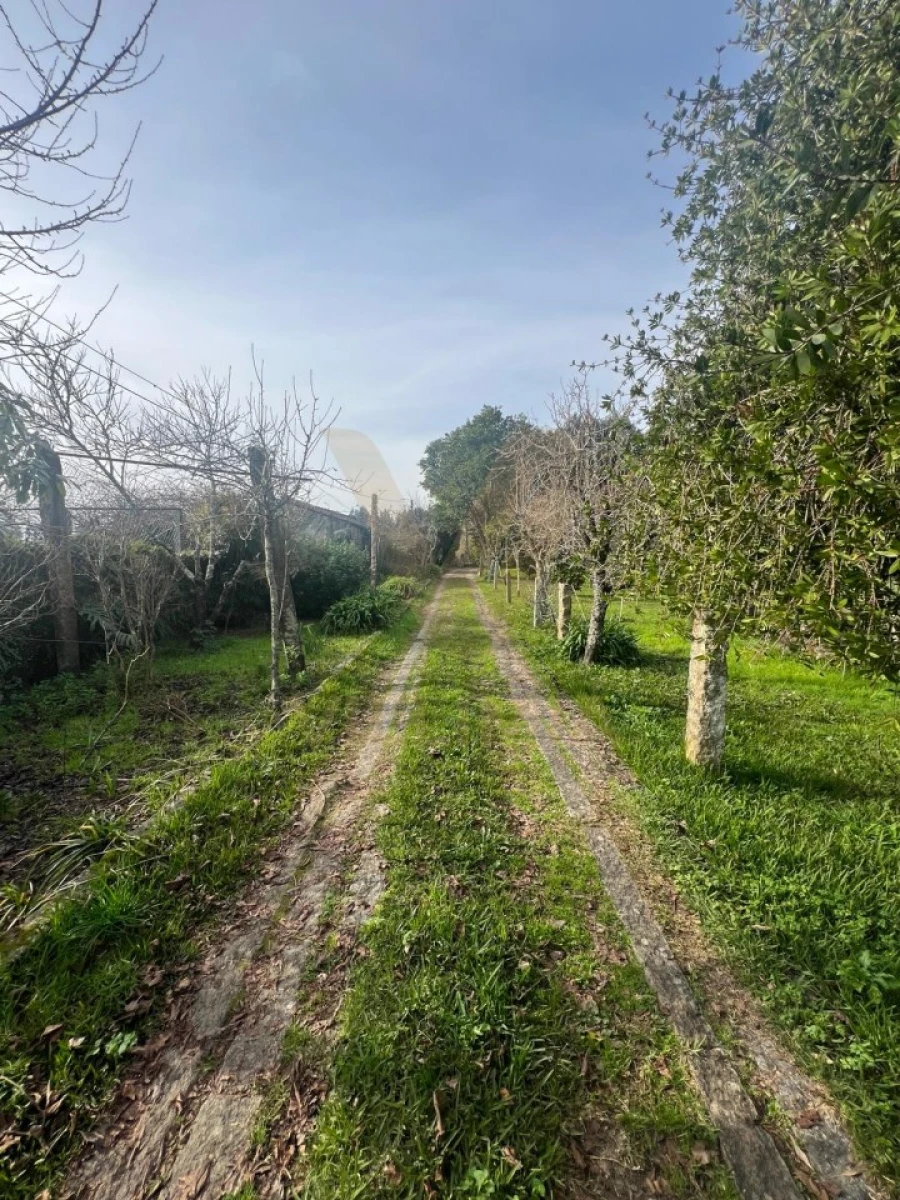 Quinta T5 para Venda em Santa Comba Foto 7