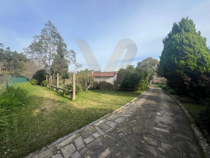 Quinta T5 para Venda em Santa Comba Foto 14