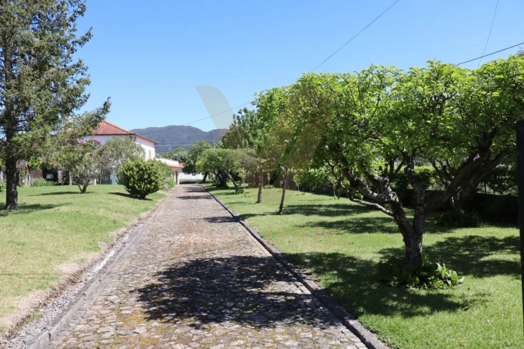 Moradia T3 para Venda em Bertiandos Foto 36