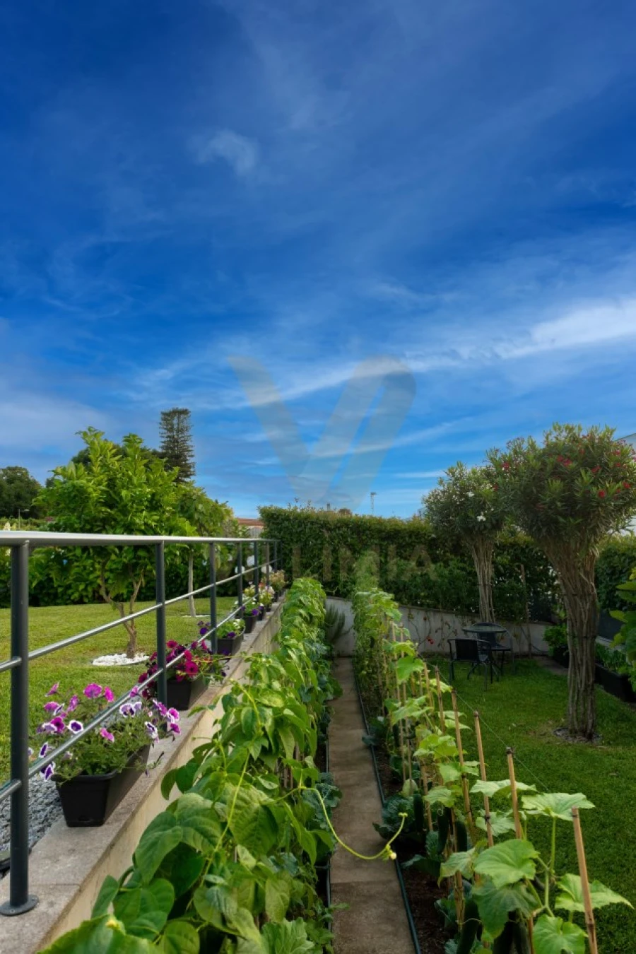 Moradia T3 para Venda em Arca e Ponte de Lima Foto 34