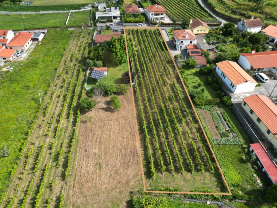 Terreno para Venda em Santa Comba Foto 3