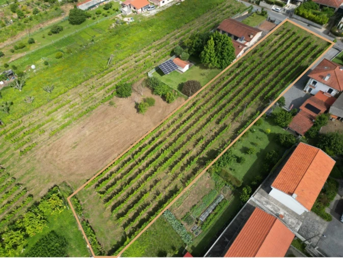 Terreno para Venda em Santa Comba Foto 2